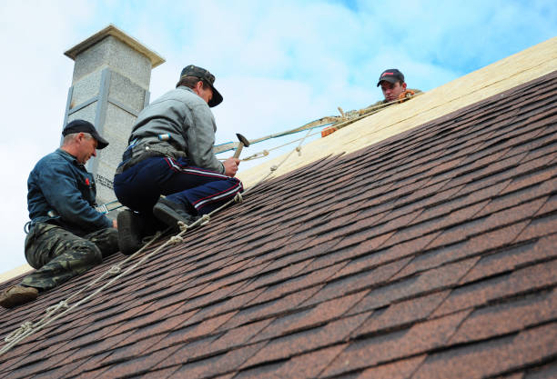Best Metal Roofing Contractor  in Manchester, VA